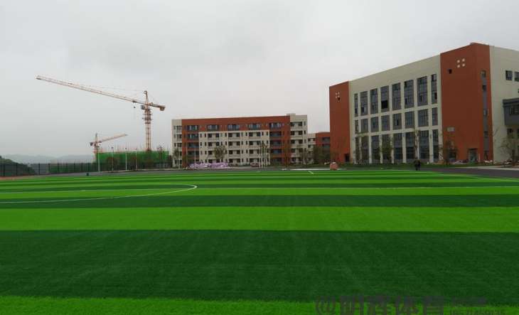 四川成都私立学校人造草坪足球场
