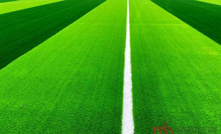 四川自贡实验中学免填充人造草坪足球场