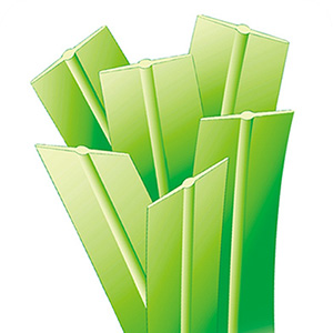 扁平加茎足球草丝