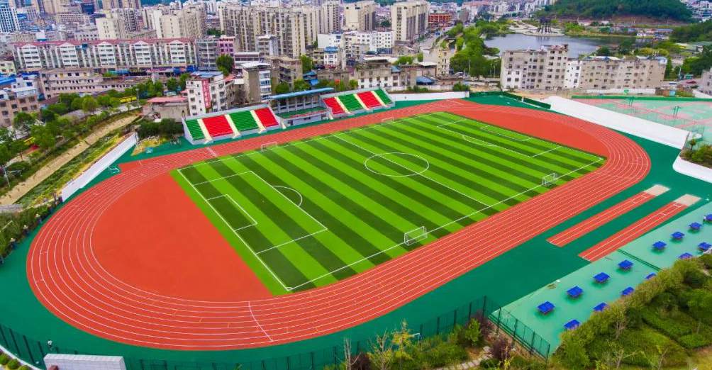 安徽省安庆市宿松中学人造草足球场